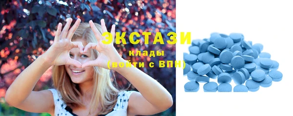 сатива Козловка