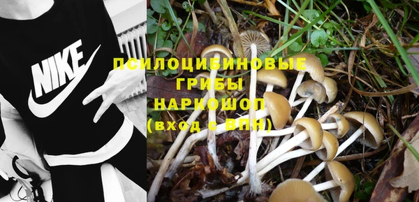 не бодяженный Киренск