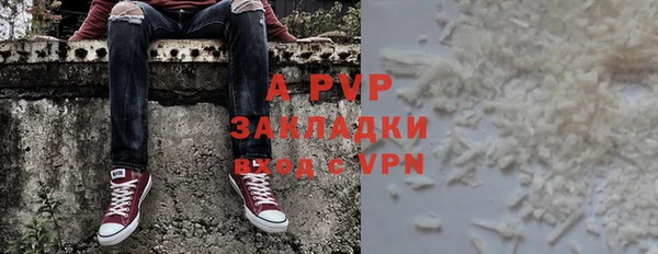сатива Козловка