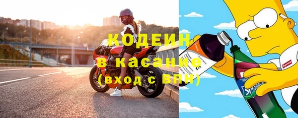 сатива Козловка