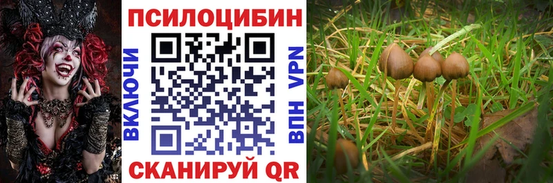 Псилоцибиновые грибы Psilocybine cubensis  наркота  Яранск 